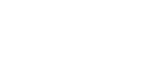 brand icon